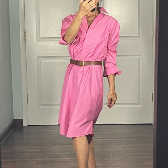 Foxcropt Taylor non iron pink Button Down Shirt dress size 8 - Picture 2 of 13